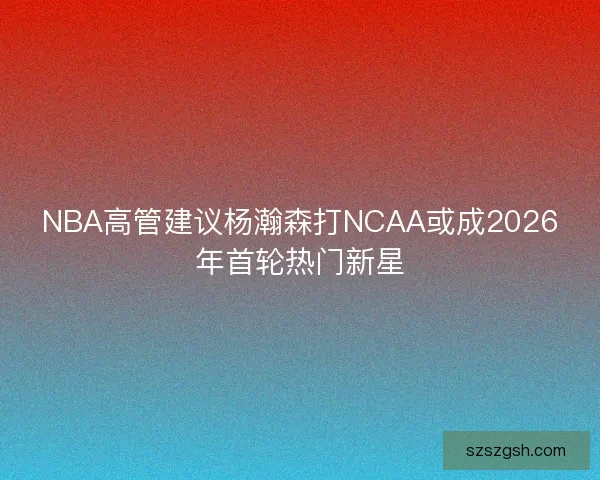 NBA高管建议杨瀚森打NCAA或成2026年首轮热门新星