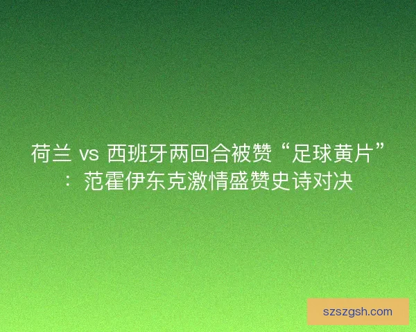 荷兰 vs 西班牙两回合被赞 “足球黄片”：范霍伊东克激情盛赞史诗对决